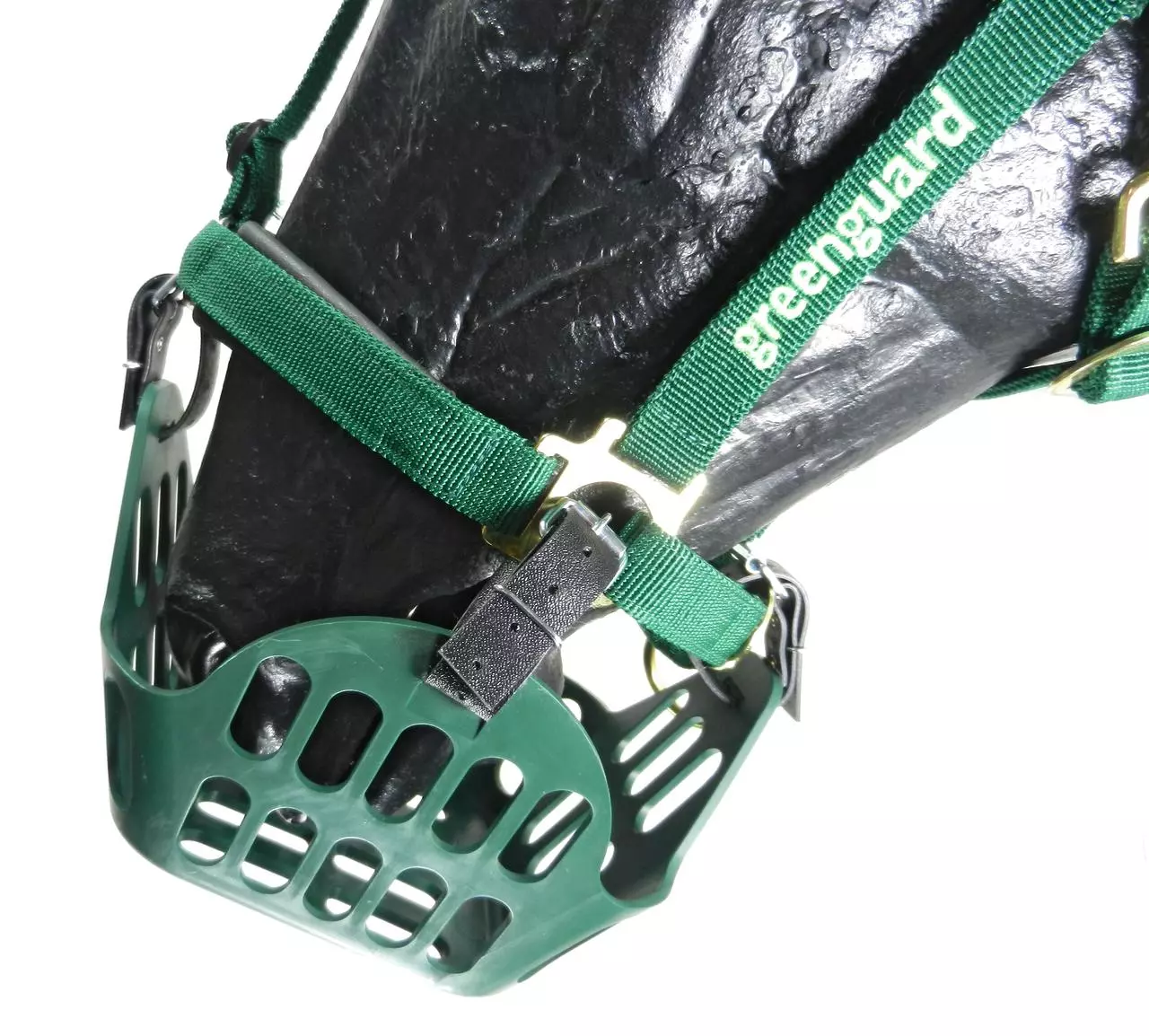 greenguard Maulkorb Fressbremse