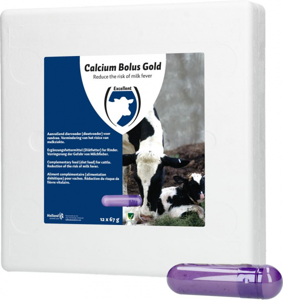 Holland Animal Care Calcium Bolus GOLD 12 Stück (à 70g) Holland Animal Care Calcium Bolus GOLD 12 Stück (à 70g)