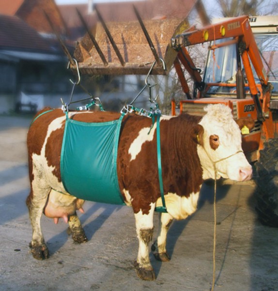 Kerbl Kuhhebevorrichtung für Kühe bis 1000 Kg