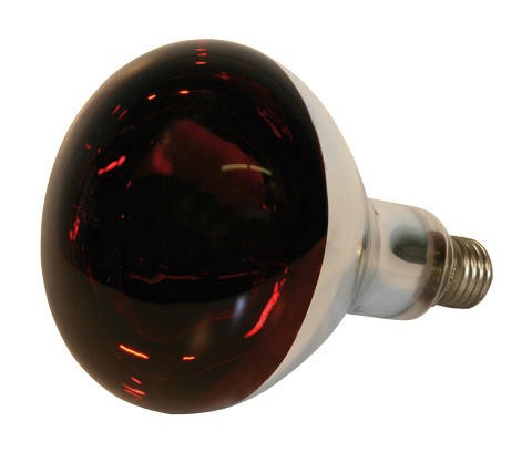 Hartglas-Infrarotlampe rot, 150 Watt