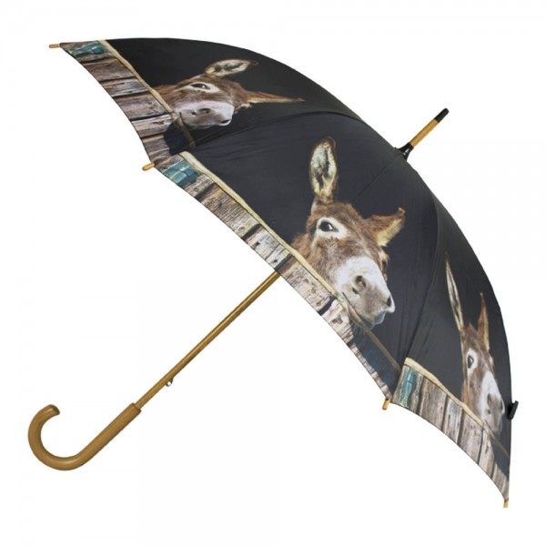 Regenschirm mit Esel-Motiv