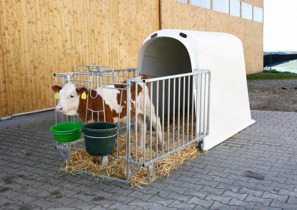 Kälberiglu Calfhouse PREMIUM PLUS leicht