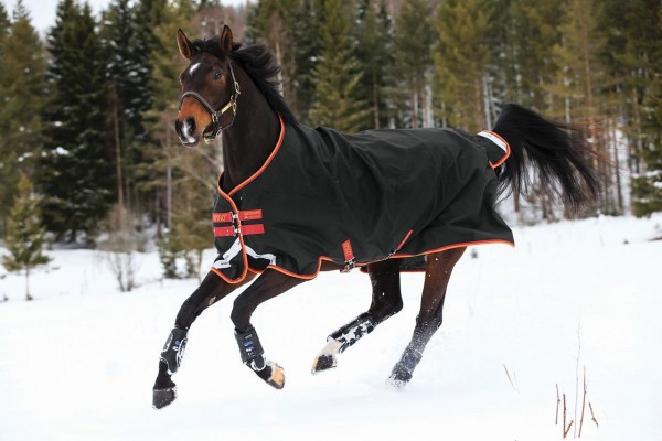 Amigo Quarter Horse Plus - Winterdecke