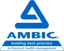 Ambic