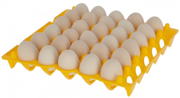 Eieraufbewahrung mit Platz für 30 Eier