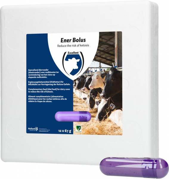 Holland Animal Care ENER BOLUS HAC 12 Stück (à 70g) Holland Animal Care ENER BOLUS HAC 12 Stück (à 70g)