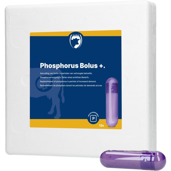 Holland Animal Care Phosphor Bolus+ 12 Stück (à 123g) Holland Animal Care Phosphor Bolus+ 12 Stück (à 123g)