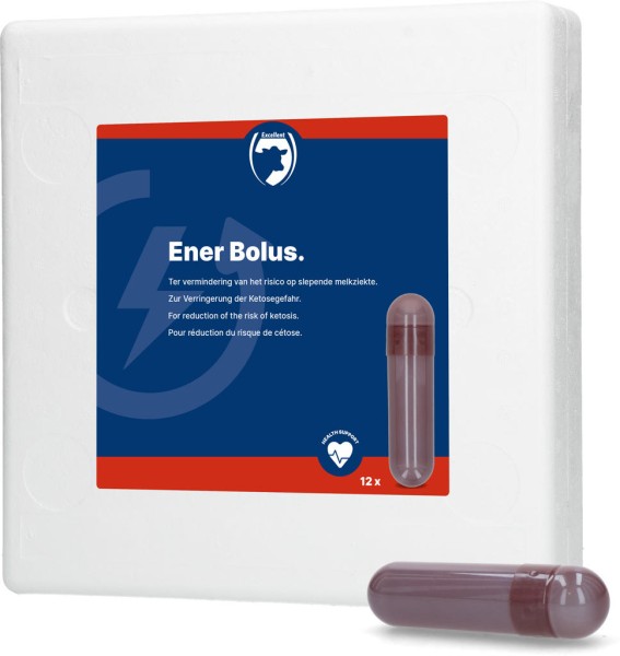 Holland Animal Care ENER BOLUS - 12 Stück (à 70g) Holland Animal Care ENER BOLUS - 12 Stück (à 70g)