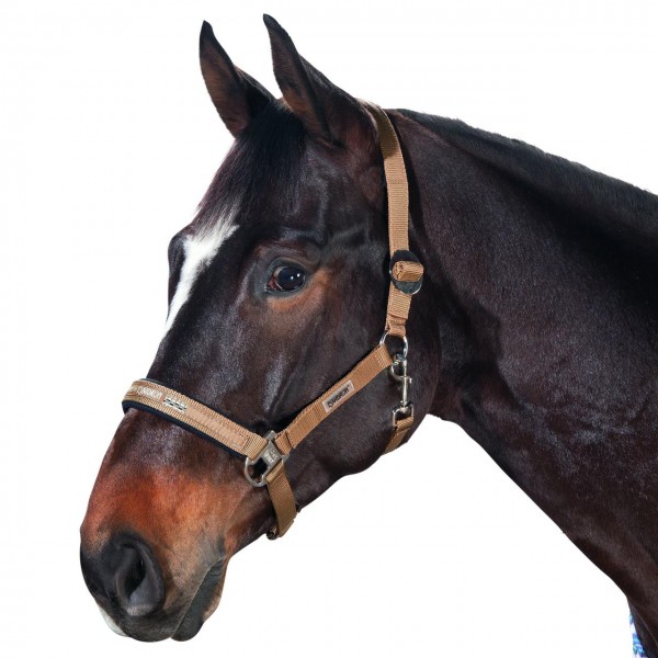 Eskadron Halfter mit Schiebeschnalle -