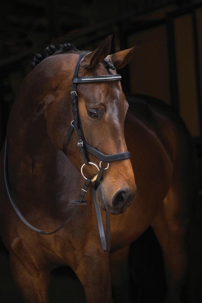 Horseware Rambo Micklem Diamante Competition Horseware Rambo Micklem Diamante Competition