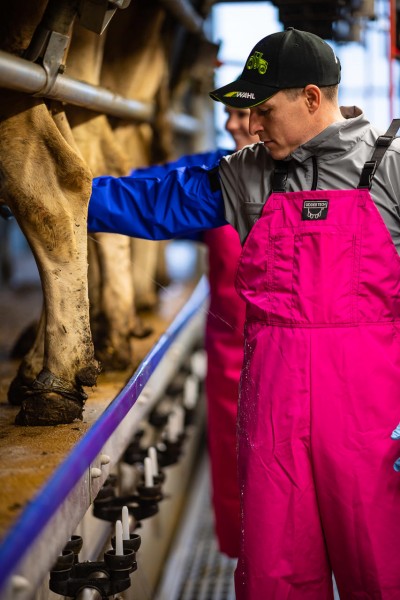 WAHL-Hausmarke MELKER-LATZHOSE wasserdicht, Pink