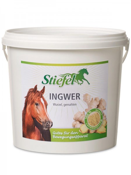 Stiefel Ingwer, gemahlen 1 kg Stiefel Ingwer, gemahlen 1 kg